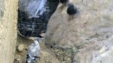 nature_(14)